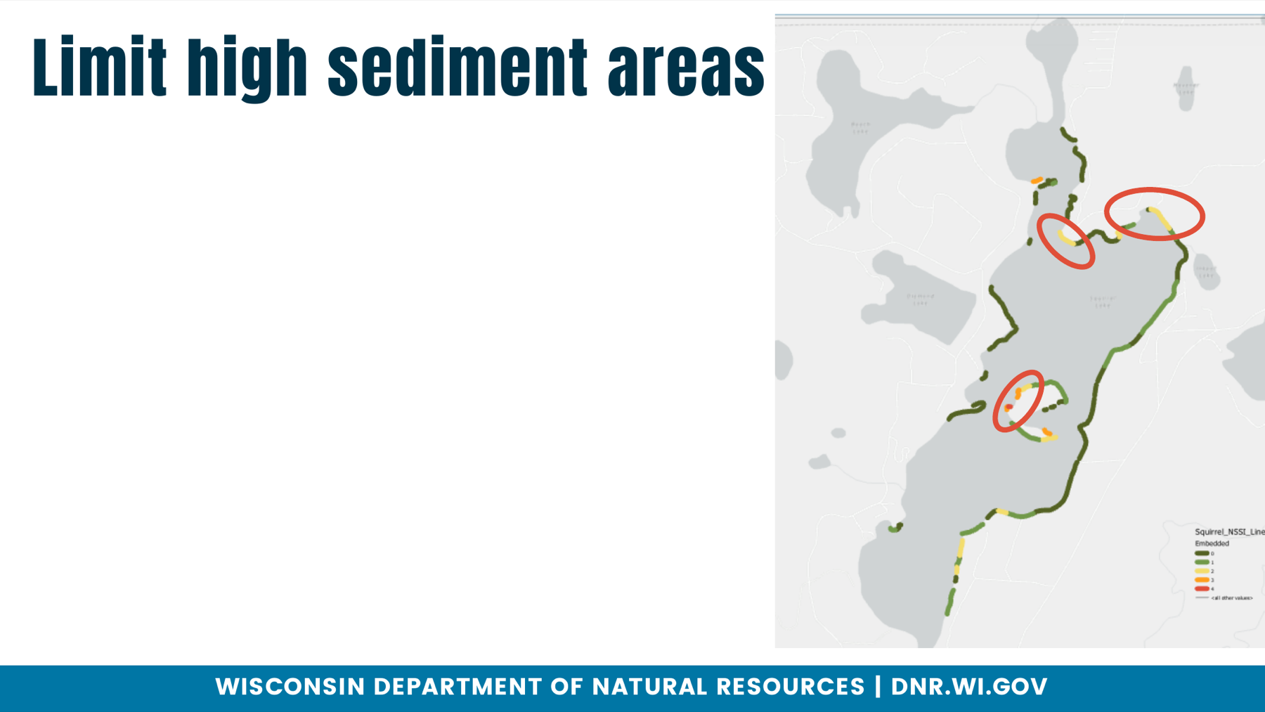 Map of Squirrel Lake shoreline segments colored by embeddedness score 0 to 4, with three areas circled in red.