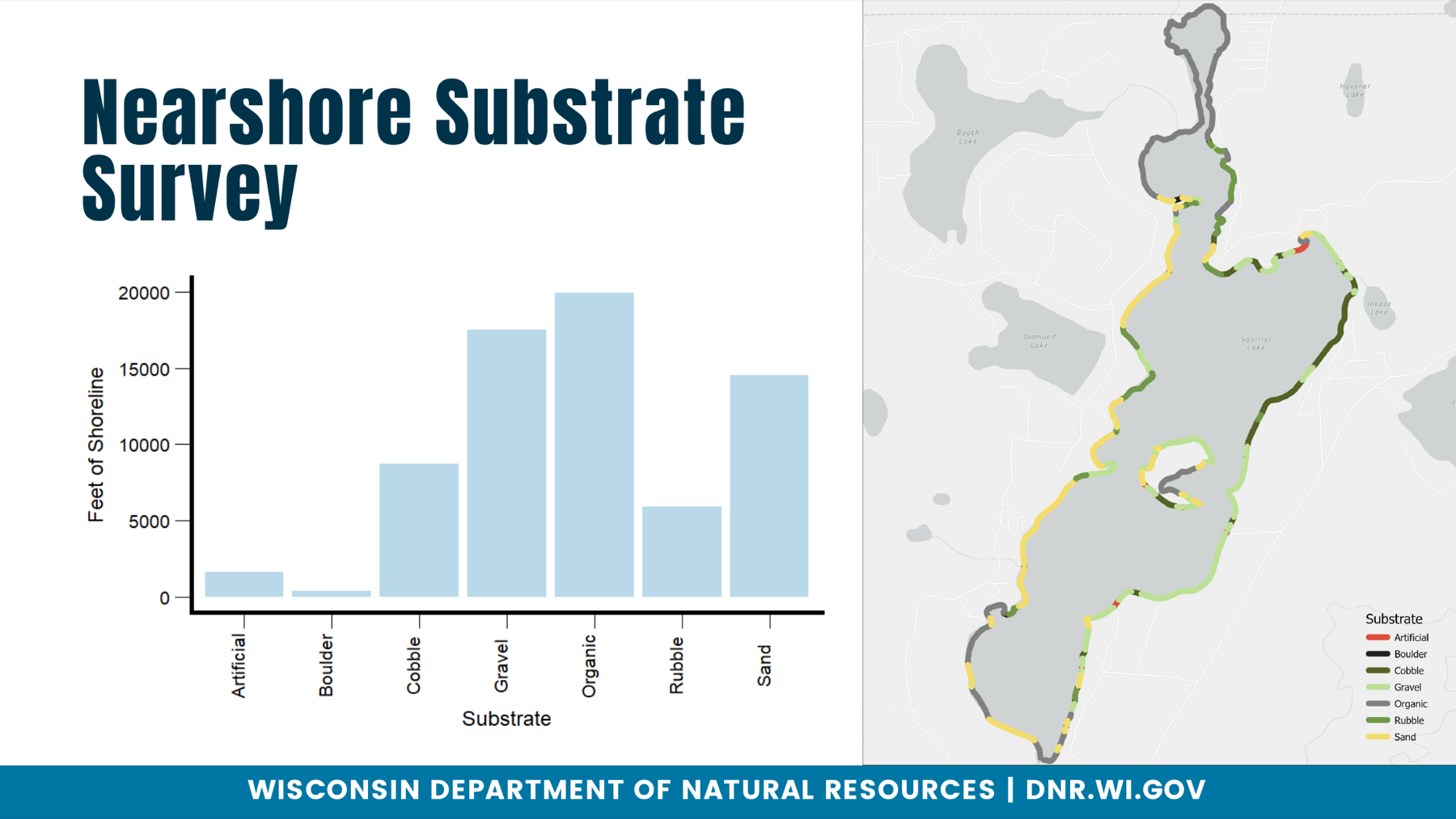 Bar chart of feet of shoreline by substrate (Artificial, Boulder, Cobble, Gravel, Organic, Rubble, Sand) on Squirrel Lake, beside a map of the lake with the shoreline colored by substrate.