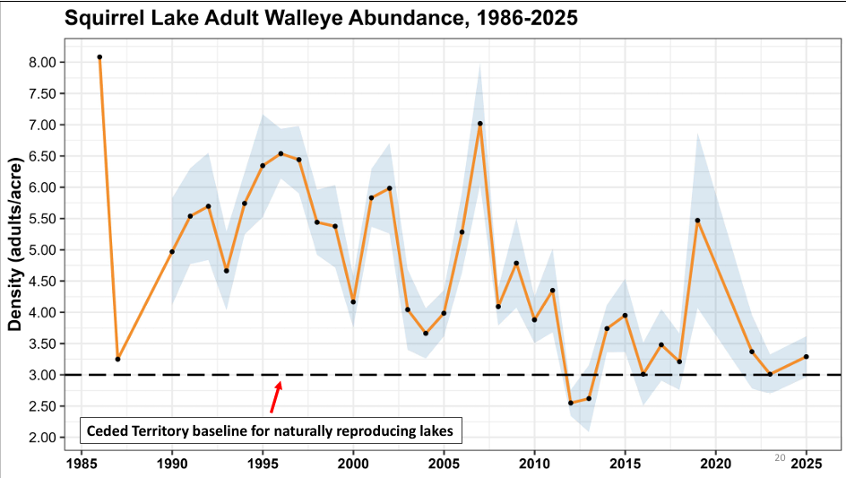 Line chart of Squirrel Lake adult walleye density (adults/acre) by year, 1986 to 2025, with a shaded band and a dashed line at 3.00 labeled Ceded Territory baseline for naturally reproducing lakes.