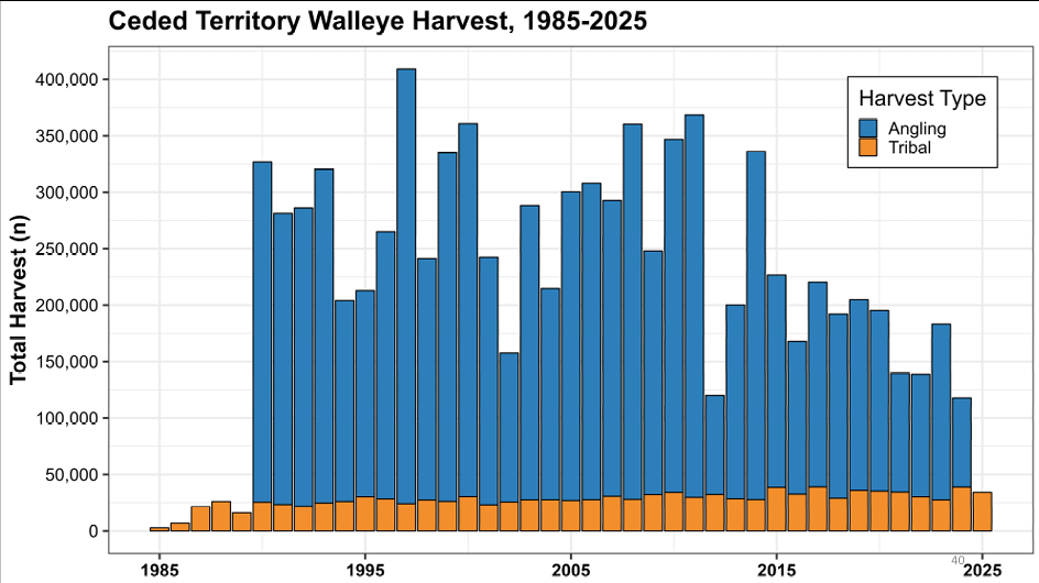 Stacked bar chart of total Ceded Territory walleye harvest (n) by year, 1985 to 2025, split into angling (blue) and tribal (orange).