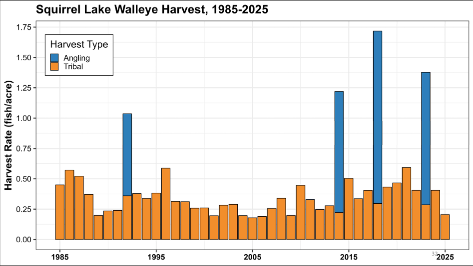 Stacked bar chart of Squirrel Lake walleye harvest rate (fish/acre) by year, 1985 to 2025: tribal (orange) in every year, angling (blue) in 1992, 2014, 2018 and 2023.