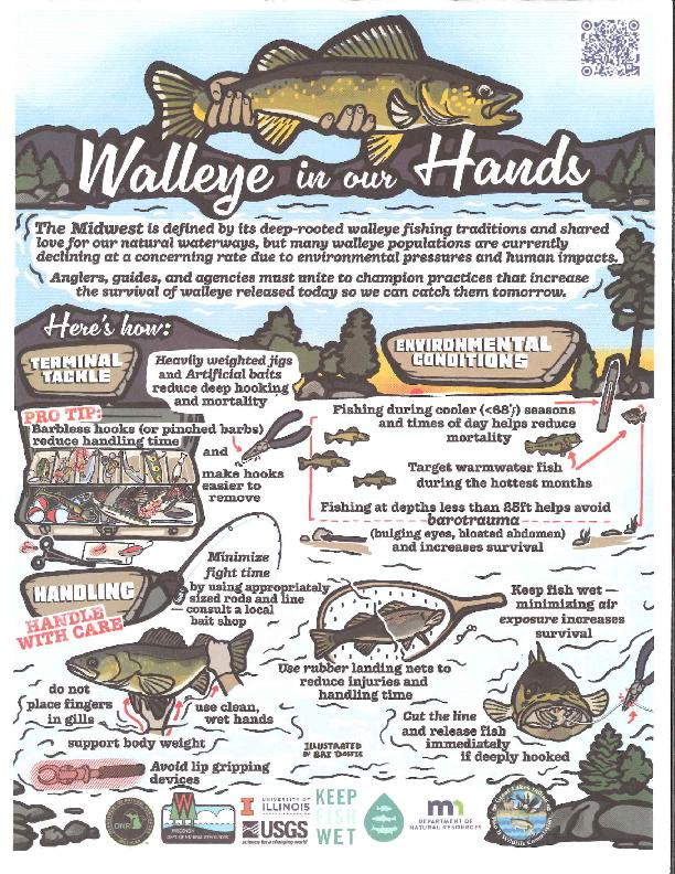 Illustrated flyer titled Walleye in our Hands, with release tips under Terminal Tackle, Environmental Conditions and Handling, and agency logos along the bottom.