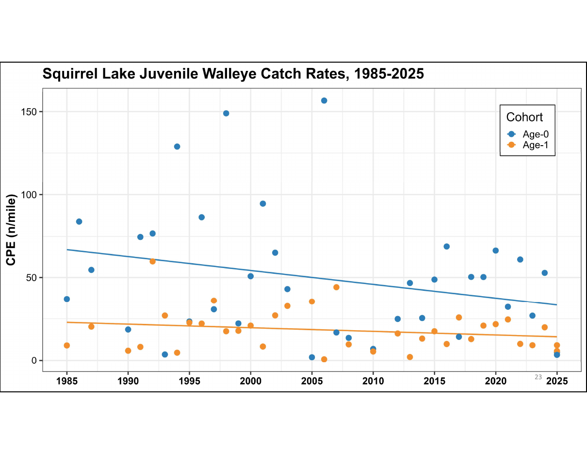 Scatter plot of juvenile walleye catch per mile (CPE, n/mile) by year, 1985 to 2025, for the age-0 (blue) and age-1 (orange) cohorts, each with a straight trend line.