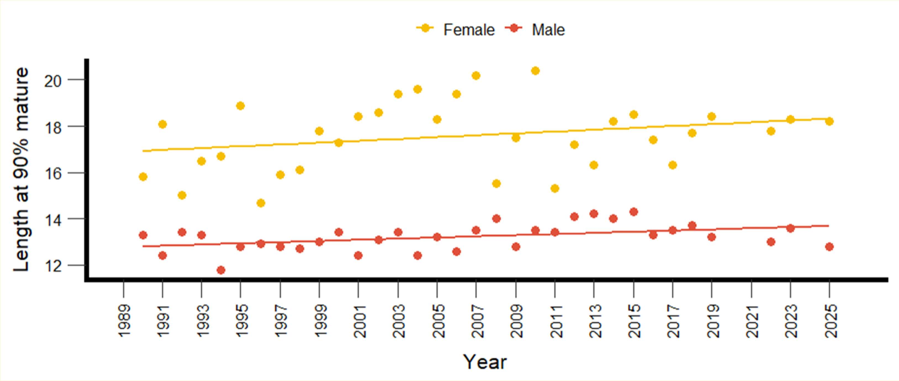Scatter plot of walleye length at 90% mature by year, 1990 to 2025, for females and males, each with a straight trend line.